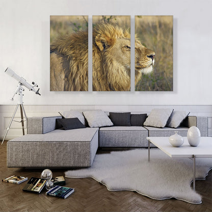 Lion In Savanah Home decor