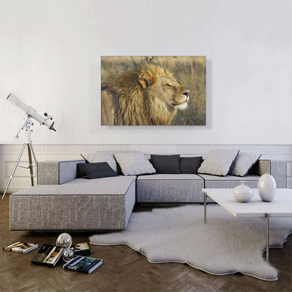 Lion In Savanah Home decor