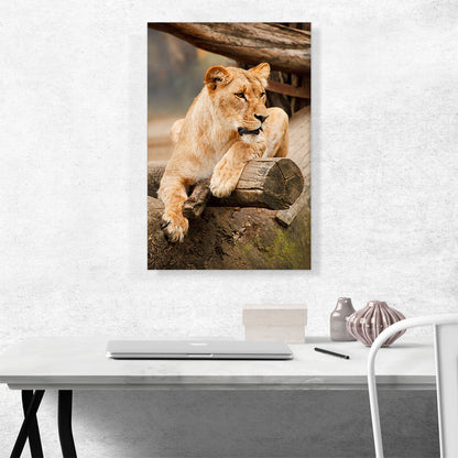 Lion Sitting on the Branch Home decor