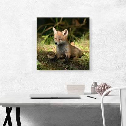 Little Fox In Forest Home decor