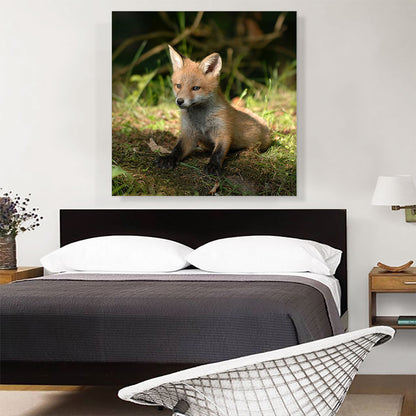 Little Fox In Forest Home decor
