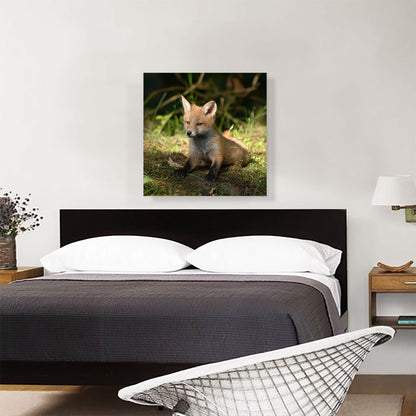 Little Fox In Forest Home decor