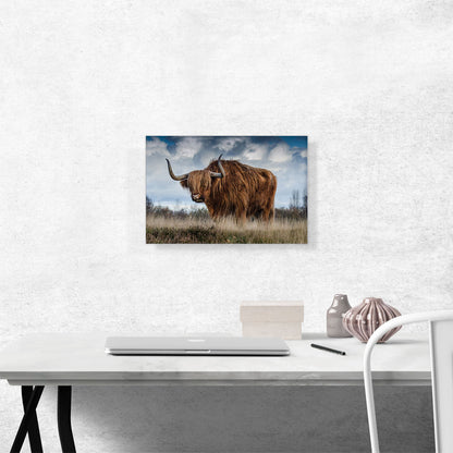Long Hair Bull Home Decor Rectangle