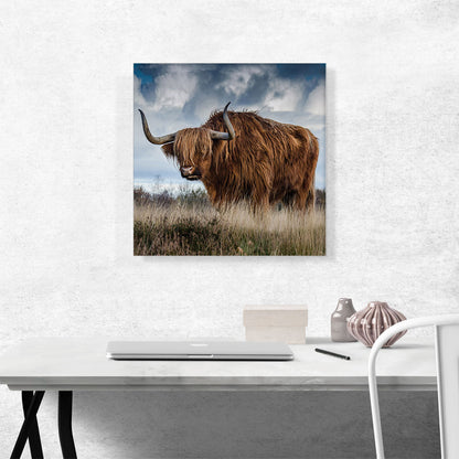 Long Hair Bull Home Decor Square