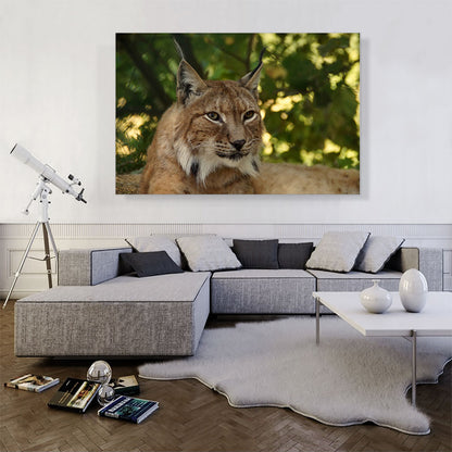 Lynx In Forest Home Decor Rectangle
