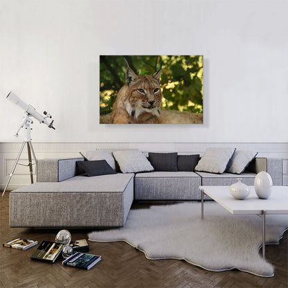 Lynx In Forest Home Decor Rectangle