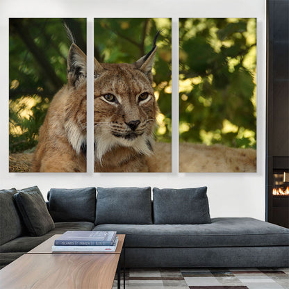 Lynx In Forest Home Decor Rectangle