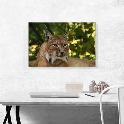 Lynx In Forest Home Decor Rectangle