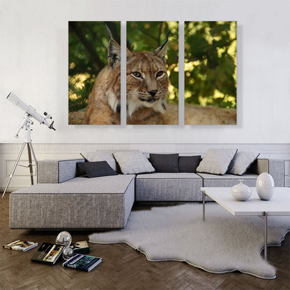 Lynx In Forest Home Decor Rectangle
