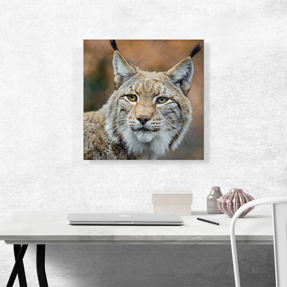 Lynx In Forest Home Decor Square