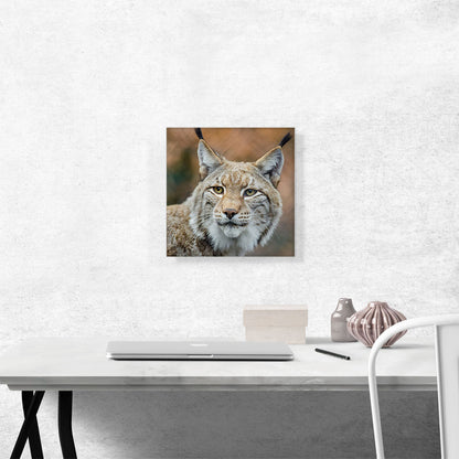Lynx In Forest Home Decor Square