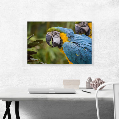 Macaw Home Decor Rectangle