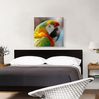 Macaw Home Decor Square