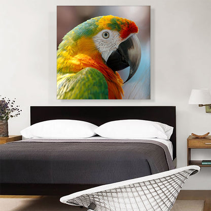 Macaw Home Decor Square