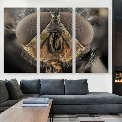 Macro Fly Home decor