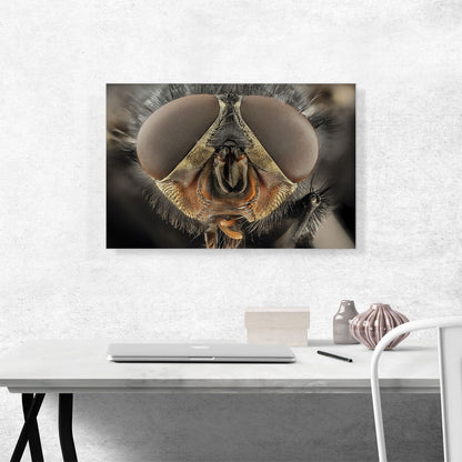 Macro Fly Home decor