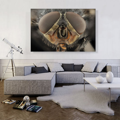 Macro Fly Home decor