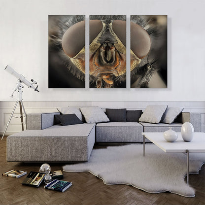 Macro Fly Home decor