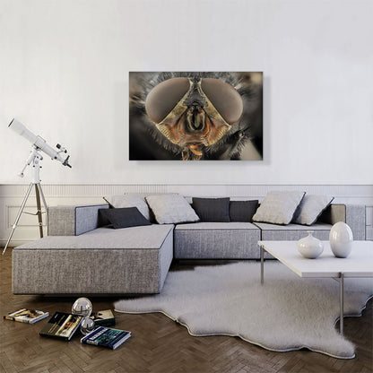 Macro Fly Home decor