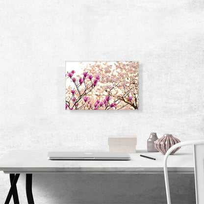 Magnolia and Cherry Blossoms Home decor
