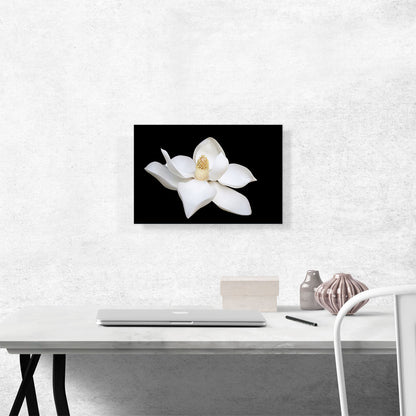 Magnolia White Flower Home Decor Rectangle