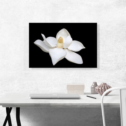 Magnolia White Flower Home Decor Rectangle