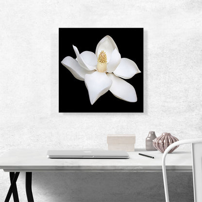 Magnolia White Flower Home Decor Square