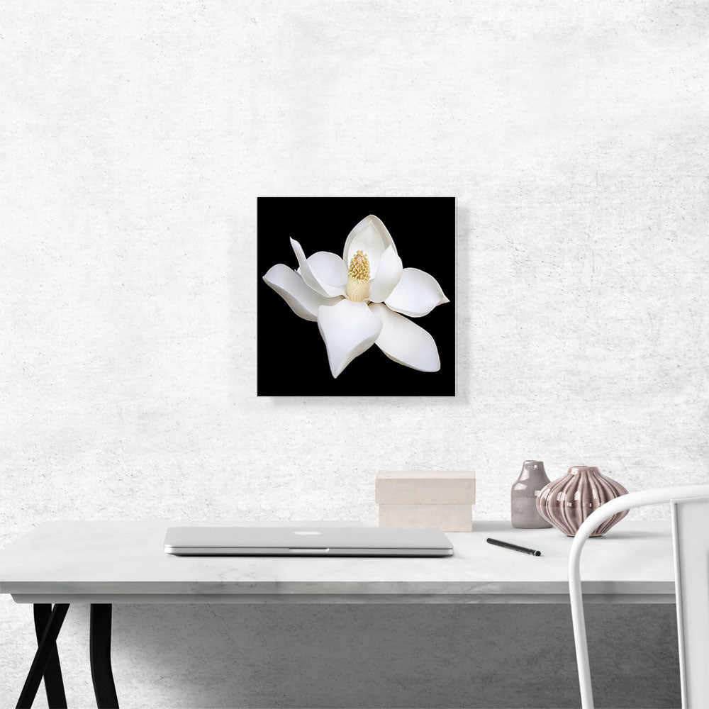 Magnolia White Flower Home Decor Square