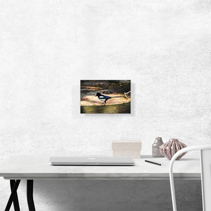 Magpie Home decor