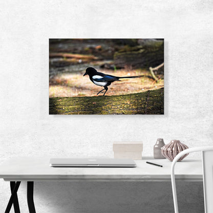 Magpie Home decor