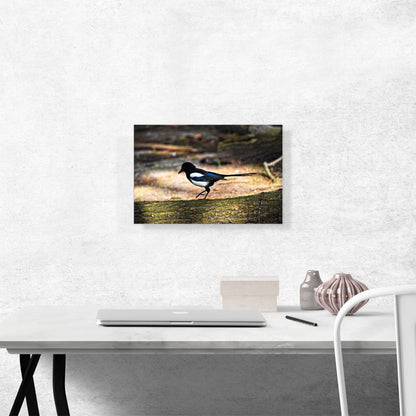 Magpie Home decor