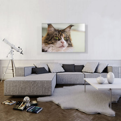 Maine Coon Cat Home decor