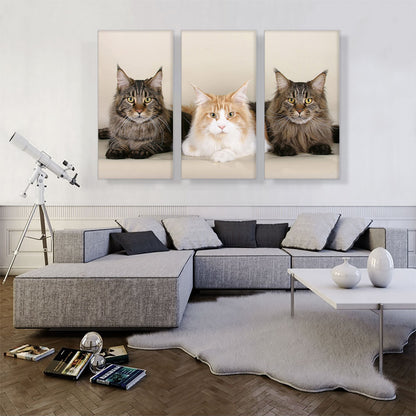 Maine Coon Cats Home decor
