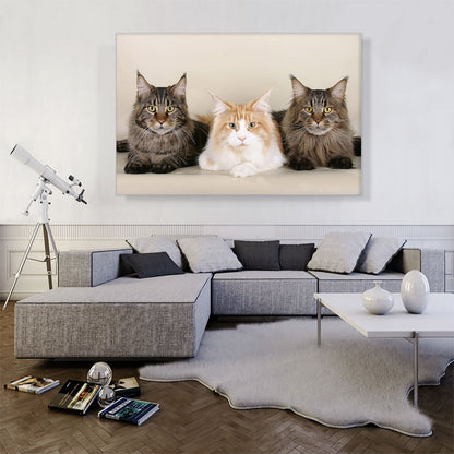 Maine Coon Cats Home decor
