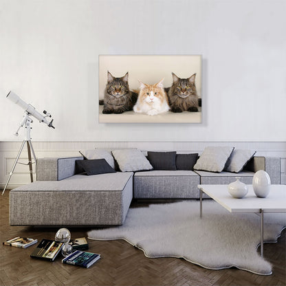 Maine Coon Cats Home decor