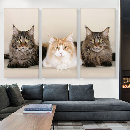 Maine Coon Cats Home decor