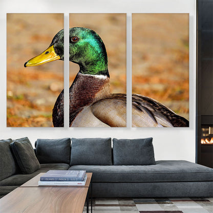 Mallard Home decor