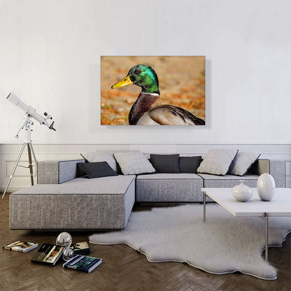 Mallard Home decor
