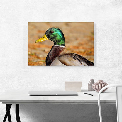 Mallard Home decor