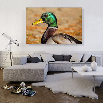 Mallard Home decor