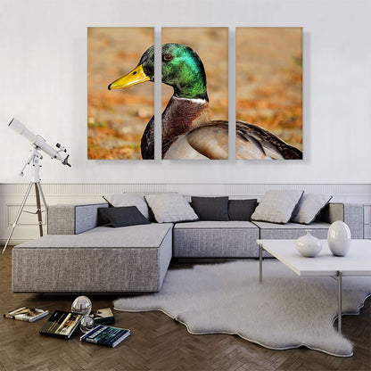 Mallard Home decor