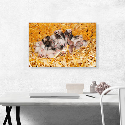 Mice Home decor