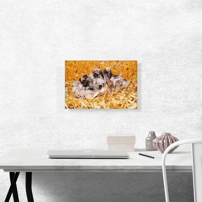 Mice Home decor