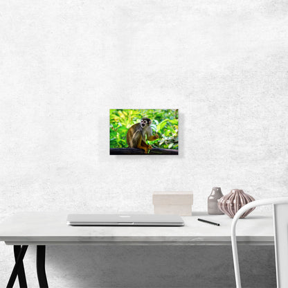 Monkey In The Jungle Home decor