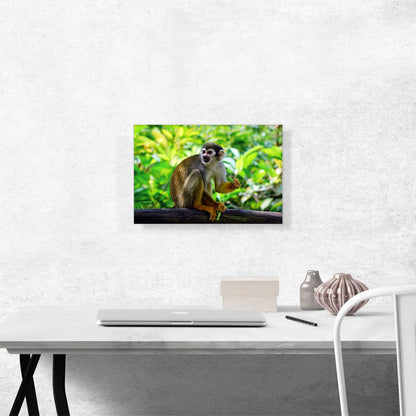 Monkey In The Jungle Home decor