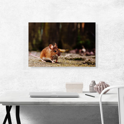 Mouse In Forest Home decor