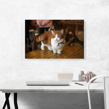 Munchkin Cat Home decor