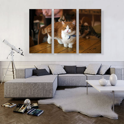 Munchkin Cat Home decor