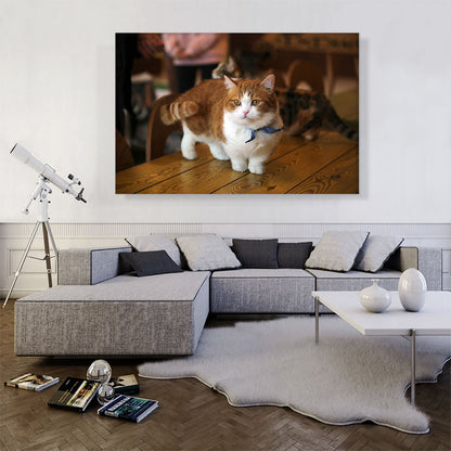 Munchkin Cat Home decor
