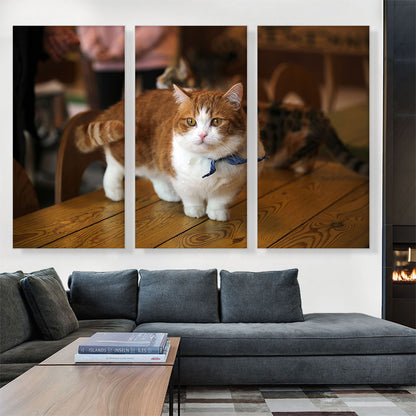 Munchkin Cat Home decor